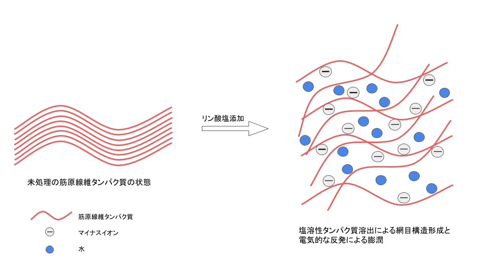 控えようリン酸塩 摂ろうマグネシウム～ 年間特集 血管を守る③ロハス・メディカル