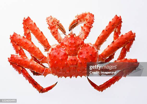 蟹・カニ タラバガニフリー素材ドットコム