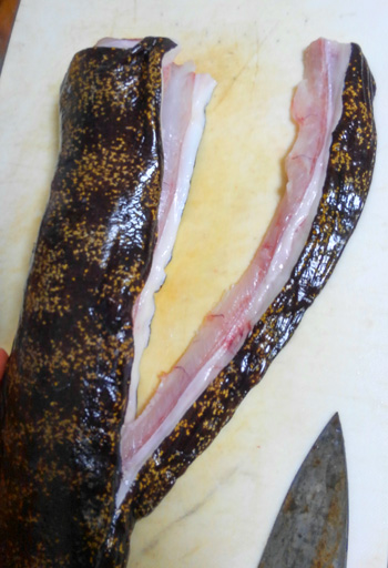 食の向こうに 世界を味わう：１ ＠英国 ウナギ料理は絶滅の危機？：朝日新聞