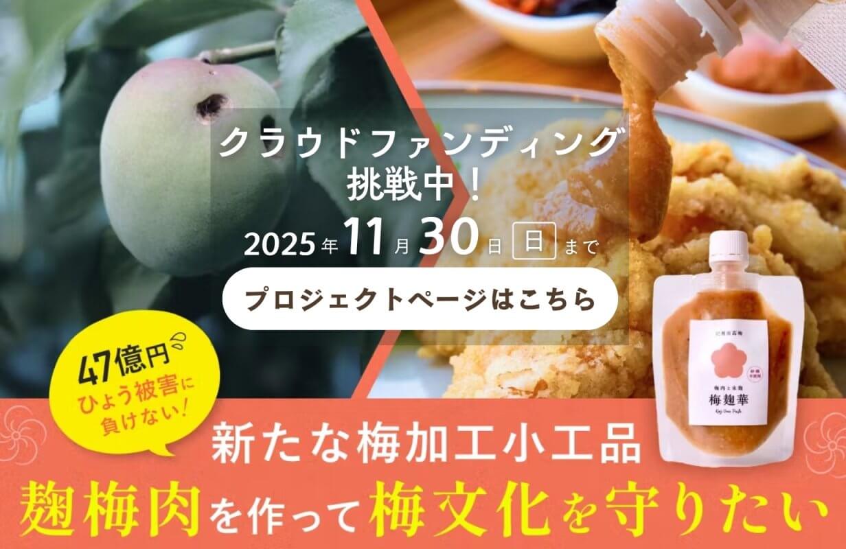 梅干しのカビが発生した際の対処法とは?種類や発生原因も解説 – grapeグレイプ
