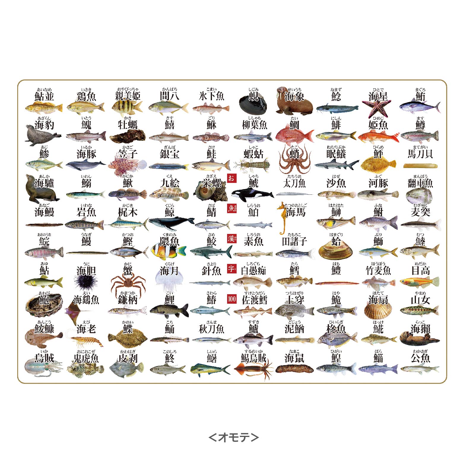 漢字「鱏」の部首・画数・読み方・意味など