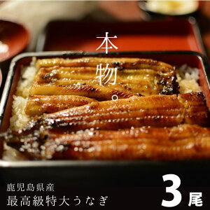 うなぎ・ウナギ・鰻養鰻場の生産ランキング