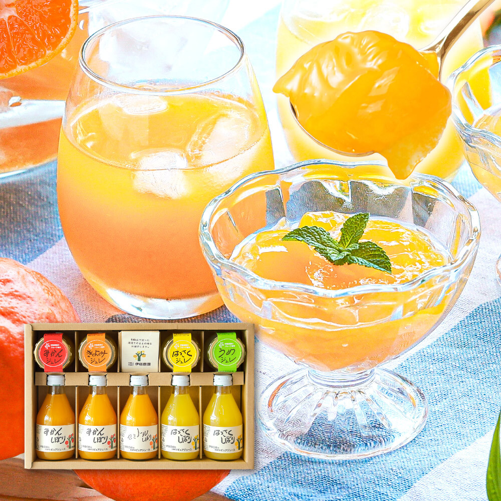 Amazon.co.jp: ダイドー ぷるシャリ温州みかんゼリー 490ml ×24本 : ビューティ