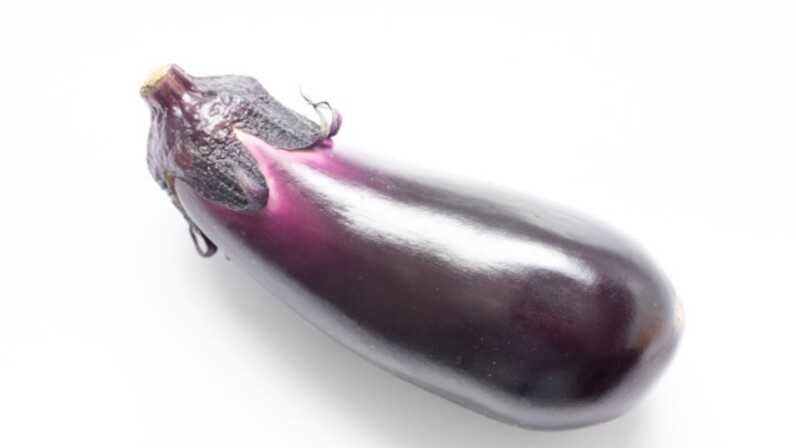 いろんな種類がある「なす」。代表7品種と名産なす5品種の特徴を解説 - macaroni