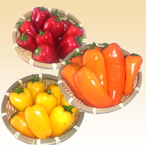 パプリカ 赤と黄色のセットパプリカ白背景の写真素材104483843- PIXTA
