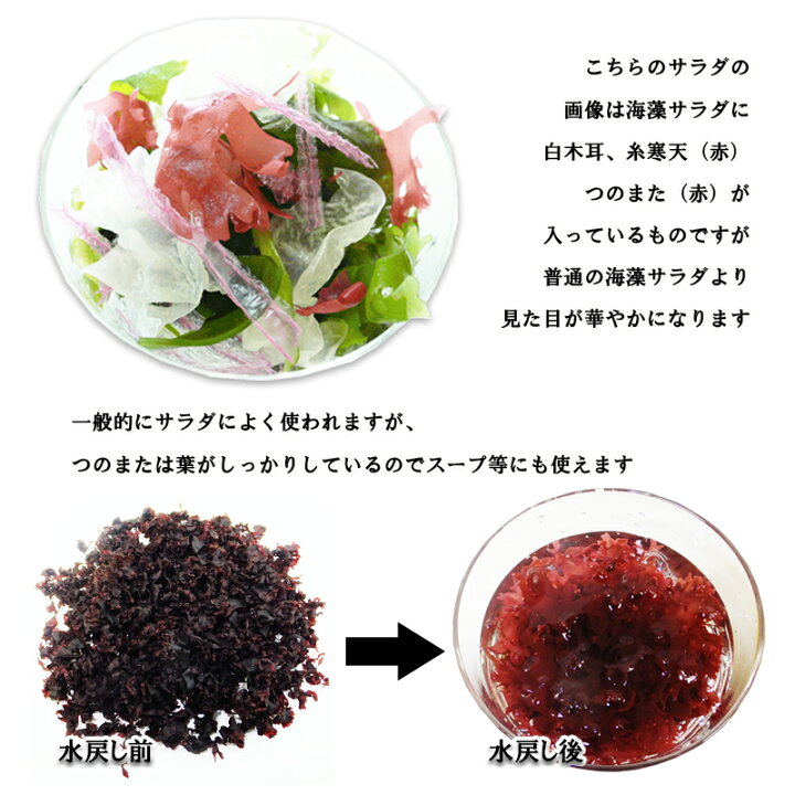 お刺身のツマの種類から定番人気のお魚の盛り付け方もご紹介♪