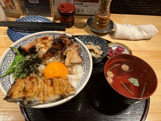 Amazonかわいいウナギ 鰻 うなぎ 魚柄 のれん 目隠し 暖簾 部屋間仕切り 廊下 隙間風遮断 防寒カーテン 入り口 ドア 寝室 年中使用簡単取り付け 幅86cm×丈143cm アニメ キャラクターのれん オンライン通販