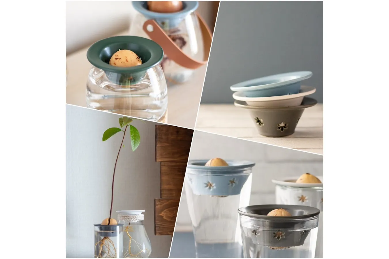 アボカドボウル coro coroフリウリ