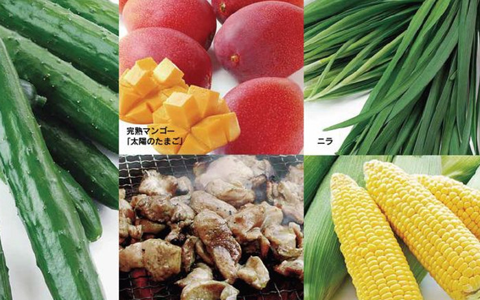 宮崎県特産品 宮崎の農畜産物JA宮崎中央会