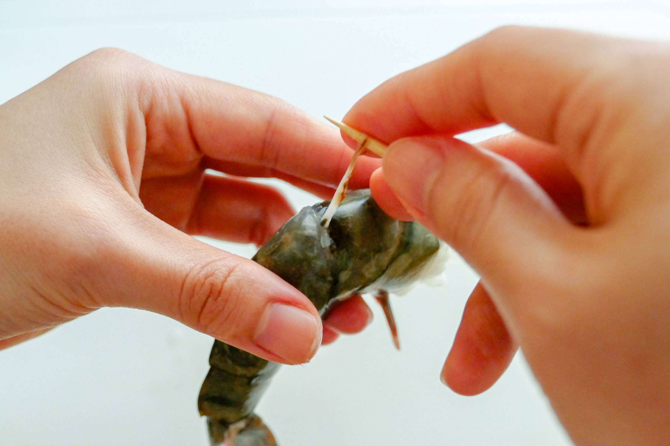 画像で詳しく解説 えびの背わたの取り方