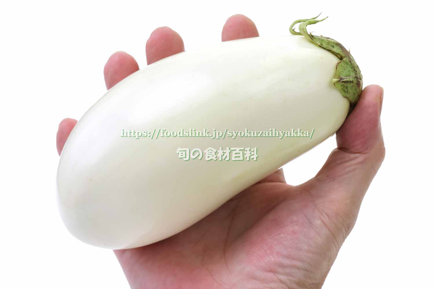 福島県産「とろ〜り旨なす・白なす」‼️この白茄子トロトロで美味いで👍😋とろーり旨なす旨なす白茄子白なす白ナスしろ茄子シロ 茄子しろなすシロナス福島ふくしま福島市八百屋やおや古関商店