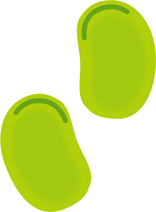 そら豆 写真素材6344806- フォトライブラリ