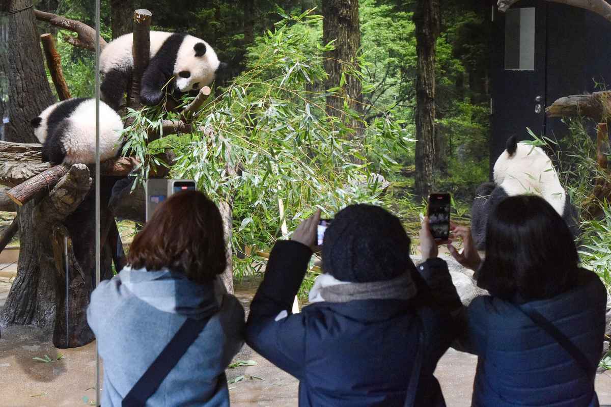 上野動物園に「ジェットコースター型」乗り物が登場へ…気になる正体とは？ | ニュース3面鏡 | ダイヤモンド・オンライン