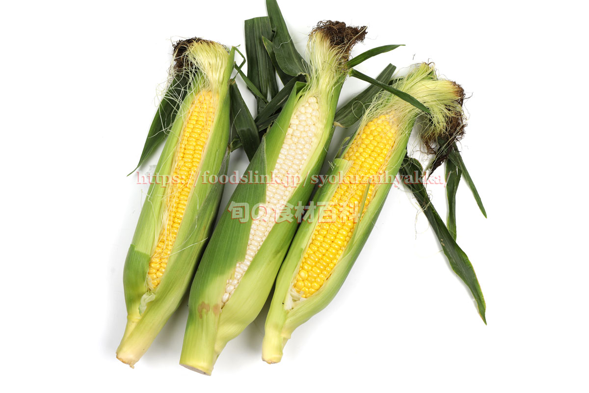 86,300点を超える野菜 とうもろこしのイラスト素材、ロイヤリティフリーのベクター素材グラフィックスとクリップアート - iStockピーマン