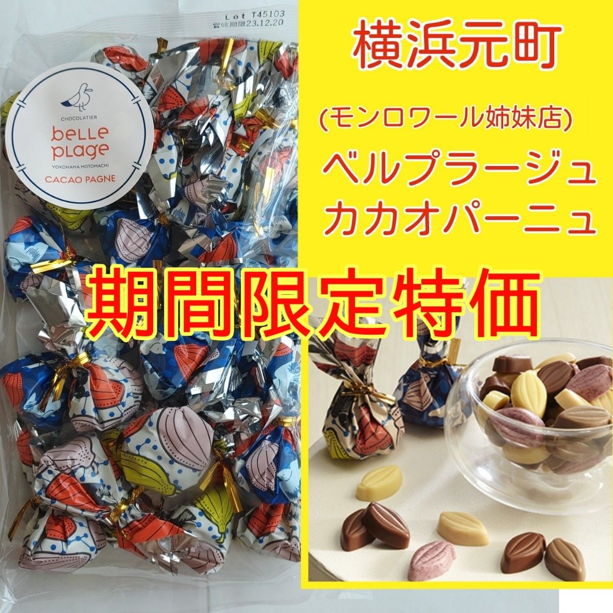 歴代パンダノベルティ 付き カカオパーニュ60個入り大丸松坂屋オンラインストア 公式通販