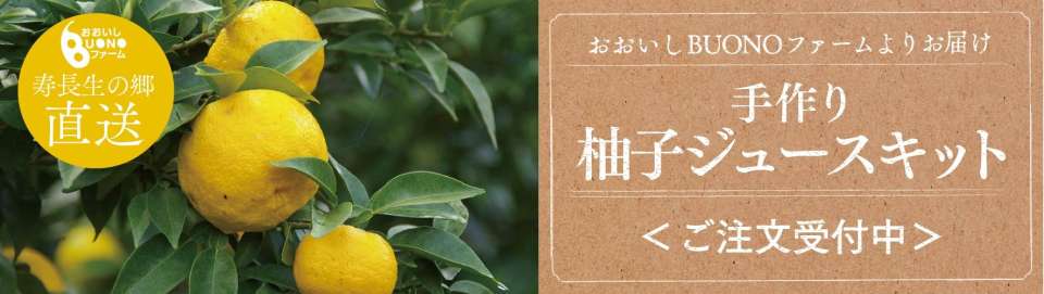 11/2（木）からはじまる展示、陶芸家・タナカシゲオさんのことと秋の実りイベントについてお知らせです。｜きょうこ｜暮らしとうつわのお店 草々