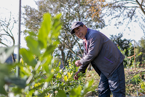 美しい海と温泉・食事・季節のイベント「上蒲刈島」の魅力公式 海人の藻塩