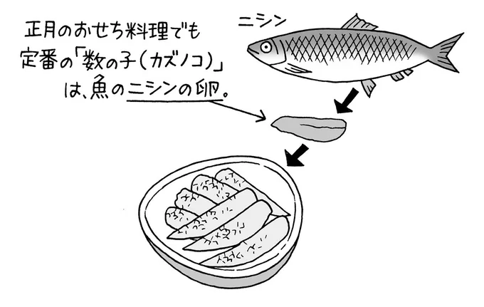 ニシン鰊 の特徴・生態、食べ方や旬、料理を徹底解説！とともん