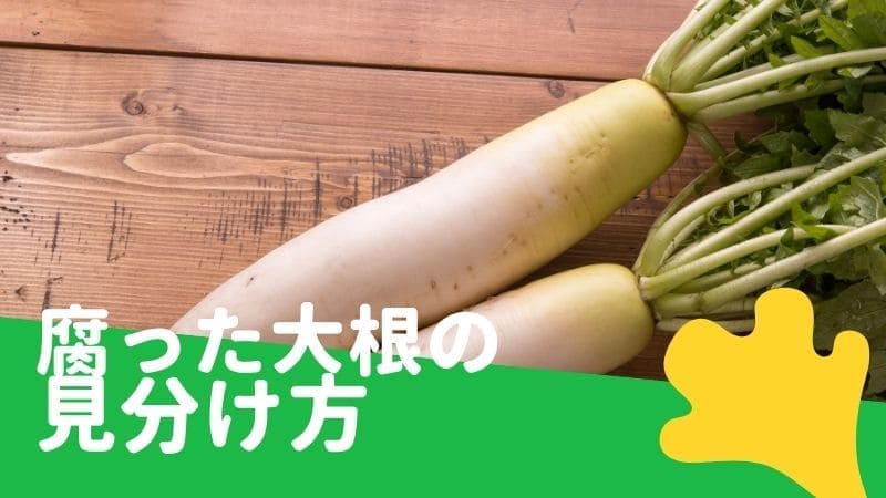 白いふわふわ🐑 水耕栽培でよく見る根っこの白いふわふわのやつ。 カビが生えた!だったり、健康の印だ、だったり逆の事をよく聞きます。 白い 根毛が広がるように生えるとそれは健康的で、灰色になってぬめりとがするとそれはカビや細菌が増えてます。 さて、これはどっち