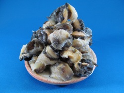 アカニシ にし貝：旬の魚介百科