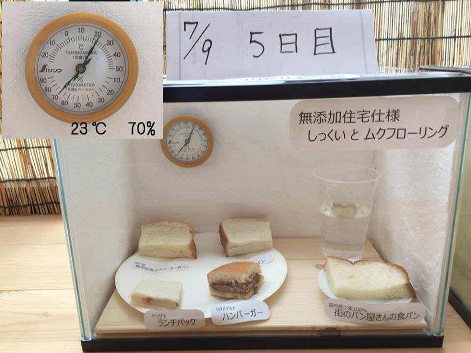 第1回ぱん結び®推しパン選手権TOP10を発表！カネカ食品株式会社のプレスリリース