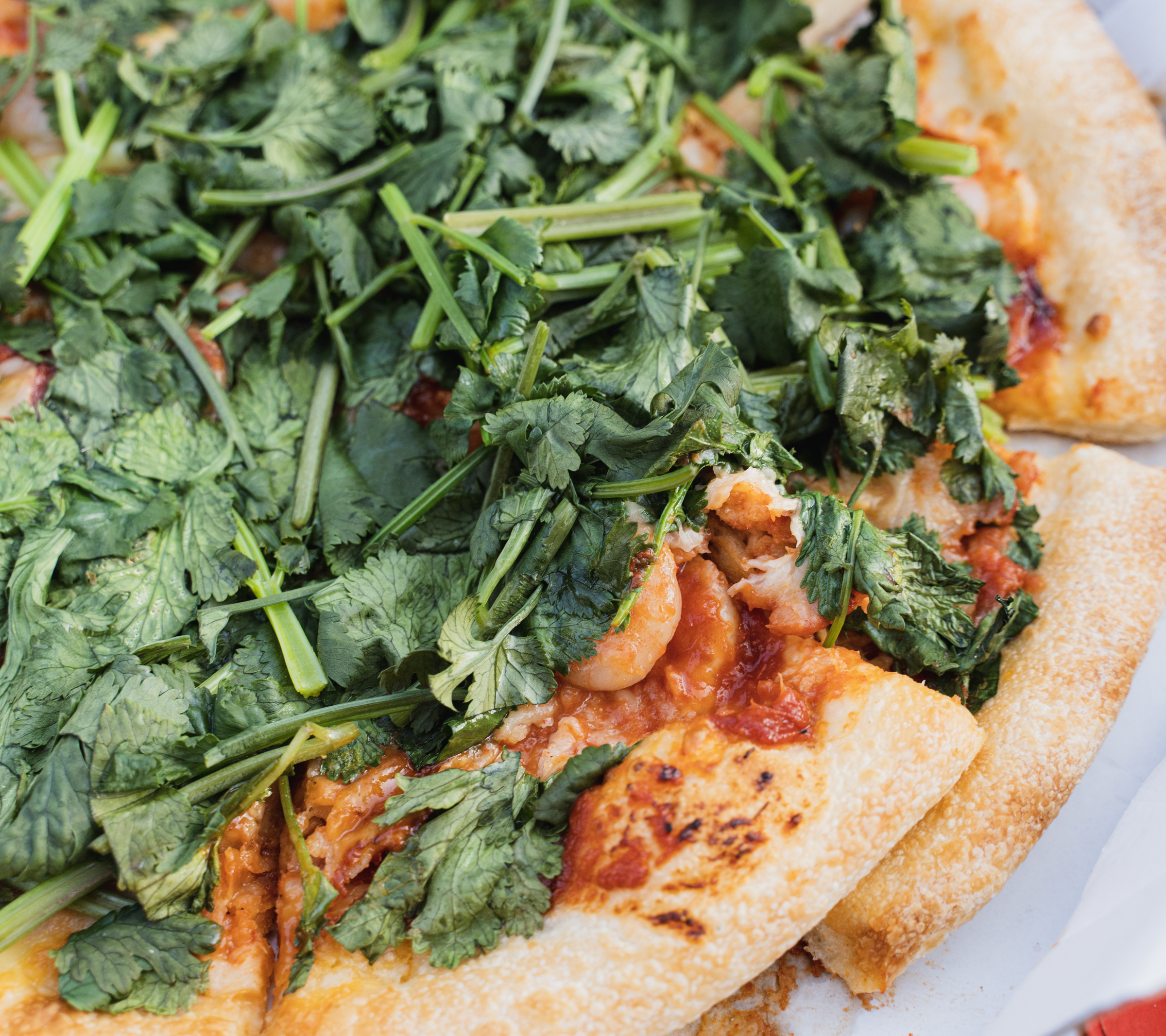 ピザハットの「パクチーすぎて草超えて森」は本当にパクチーが「盛り森」になったのか検証してみた - GIGAZINE