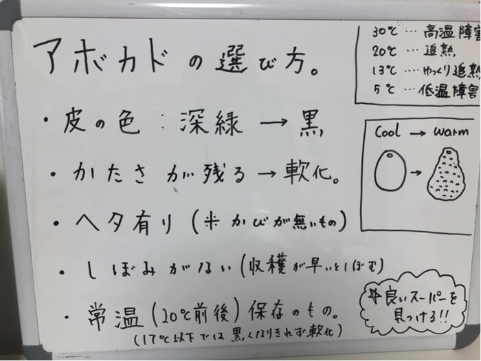 アボカドの食べ頃の見分け方とは？選び方から追熟方法まで徹底解説