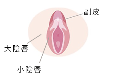 クリトリスをSM調教するメリットとおすすめのやり方｜Cheeek [チーク]