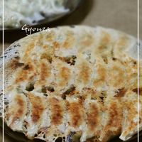 餃子の羽根は小麦粉？片栗粉？どっちがいいの？ 比較SHMINATOR