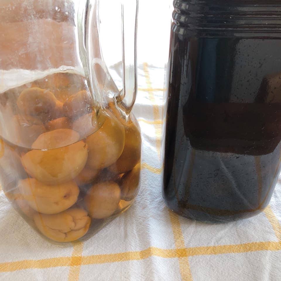 日本酒で作る梅酒の作り方②梅を取り出すタイミングキャンプするコスプレイヤ