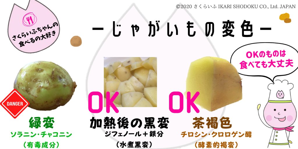 捨てないで！芽が出たじゃがいもはひと工夫でまだまだ食べられますサンキュ