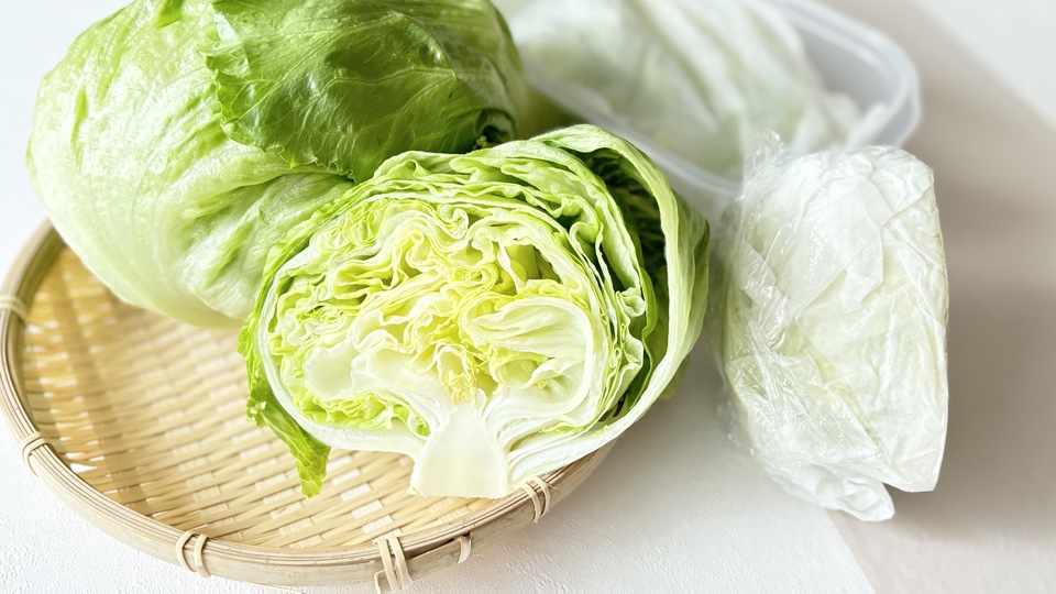 種類別!レタスを美味しく長持ちさせる保存方法 最長3週間、レタスの鮮度を保つテクニックもご紹介!ONIGO通信スーパー価格で、すぐ届く。ONIGO