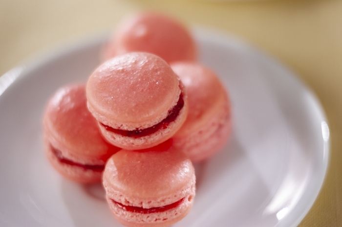 InfomationKINEEL 京都・洋菓子 キニール公式