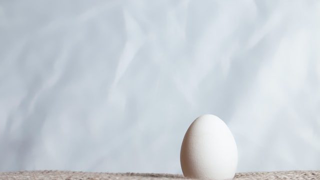 1パック即消えそう！「嵐にしやがれ」で話題「せっちゃんオムレツ」 卵の震えるほどウマい食べ方 菅田将暉さんのおばあちゃん秘伝ヨムーノ