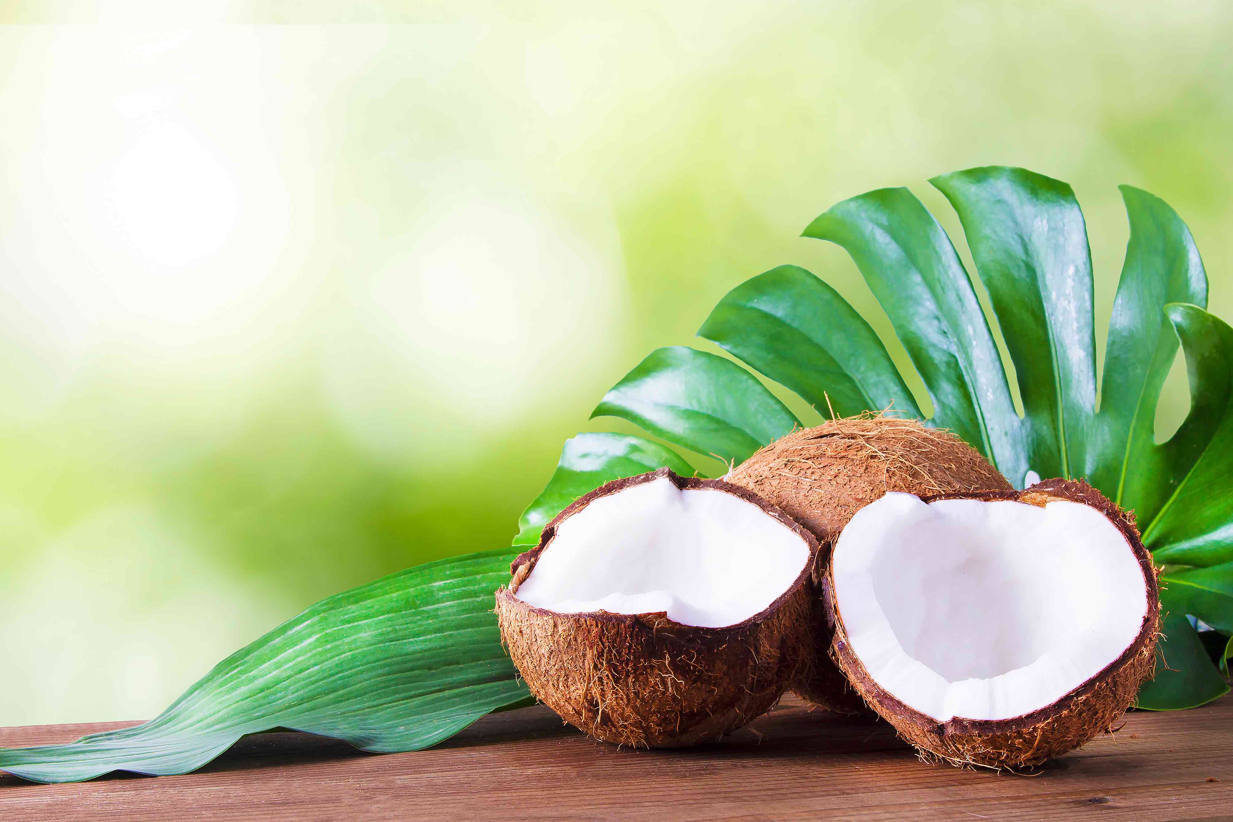 ハワイ最大級！200種類以上のフルーツが育つ「フランキーズナーセリー」たびこふれ