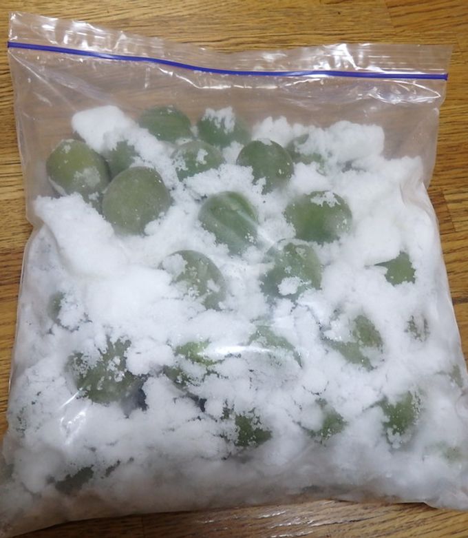 ジップロックで梅干しを作る際の簡単でおいしい作り方梅干し通販店 五代庵