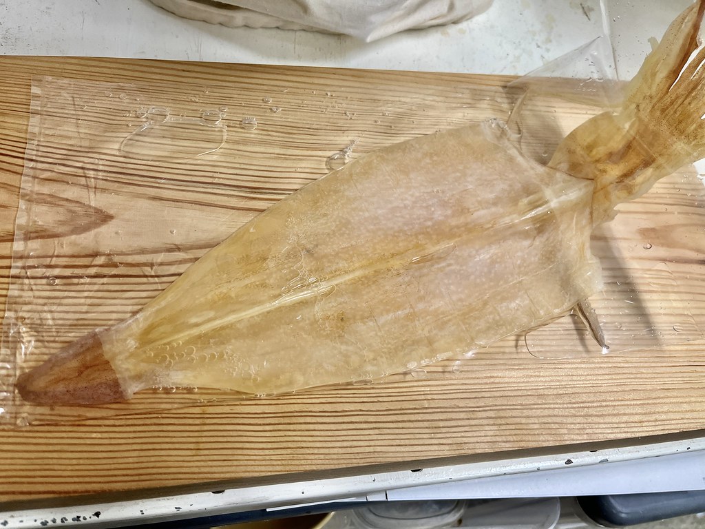 剣先するめ無塩 無添加 まるかじり 姿焼きするめ けんさきするめ 200g 焼きするめ けんさきいか 駄菓子 するめいか 焼きするめげそ付き焼き剣先 メール便 送料無料函館えさん昆布の会