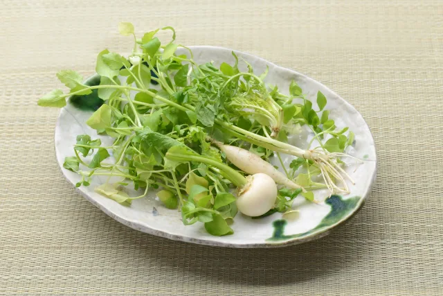 七草の節句 七草節句の行事食は？七草の日の由来や「七草粥」を食べる意味を解説！ -公式 星のなる木