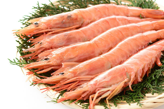 最高級 活け 伊勢海老山庄水産伊勢海老 いせえび 通販、岩牡蠣通販などの貝類やヒジキ・アオサ・ ワカメなどの海藻類の通販・お取り寄せサイト