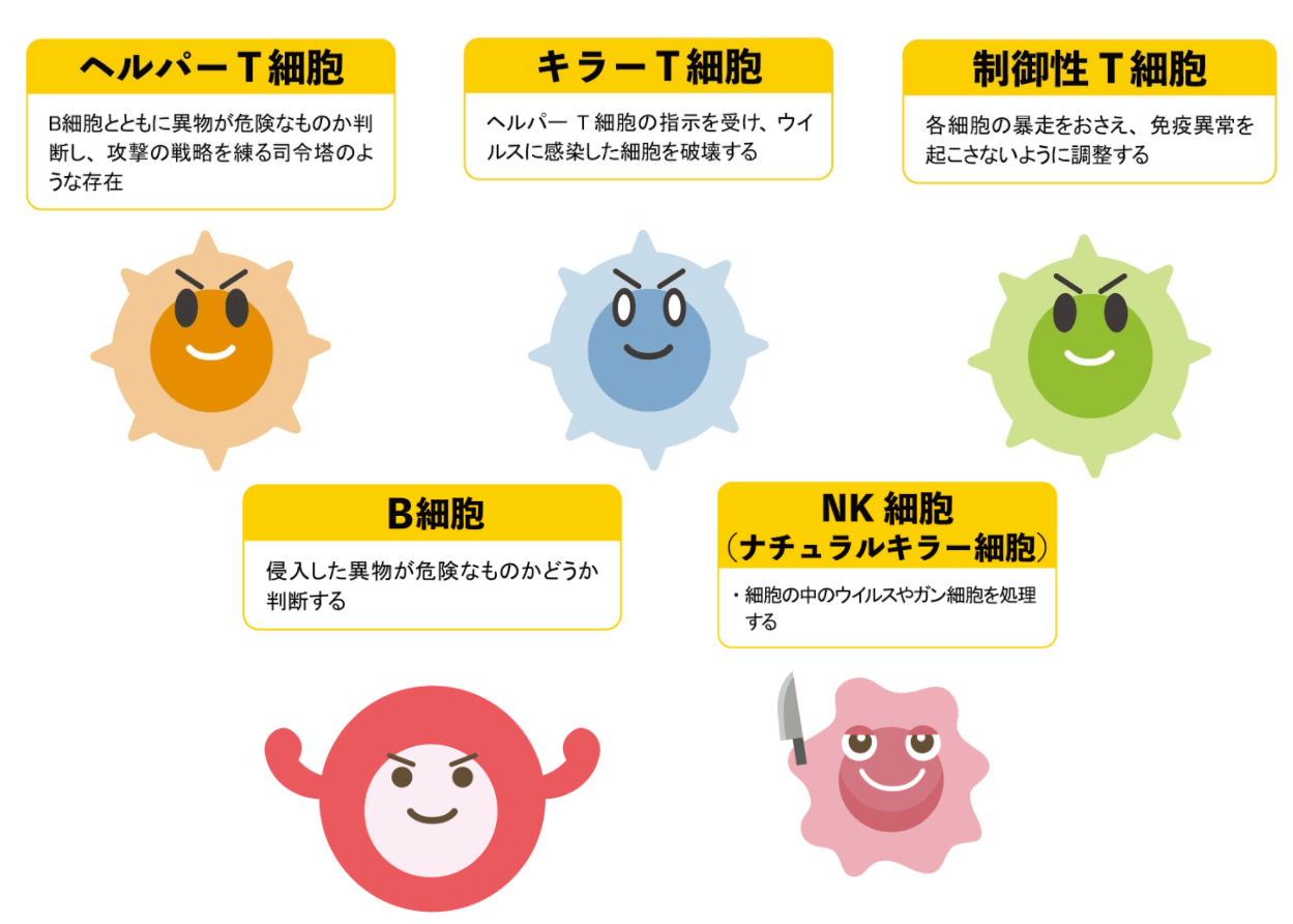 楽天市場 白血球 増やす 食べ物 は 水・ソフトドリンク の通販