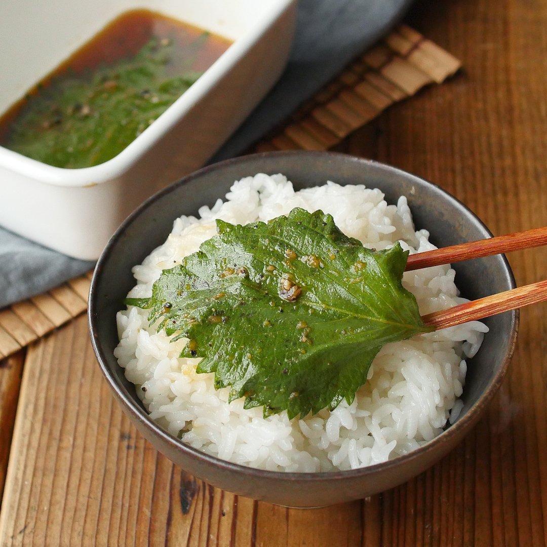 ごはんが進む！大葉の醤油漬けのレシピ えごまでもOK：白ごはん.com