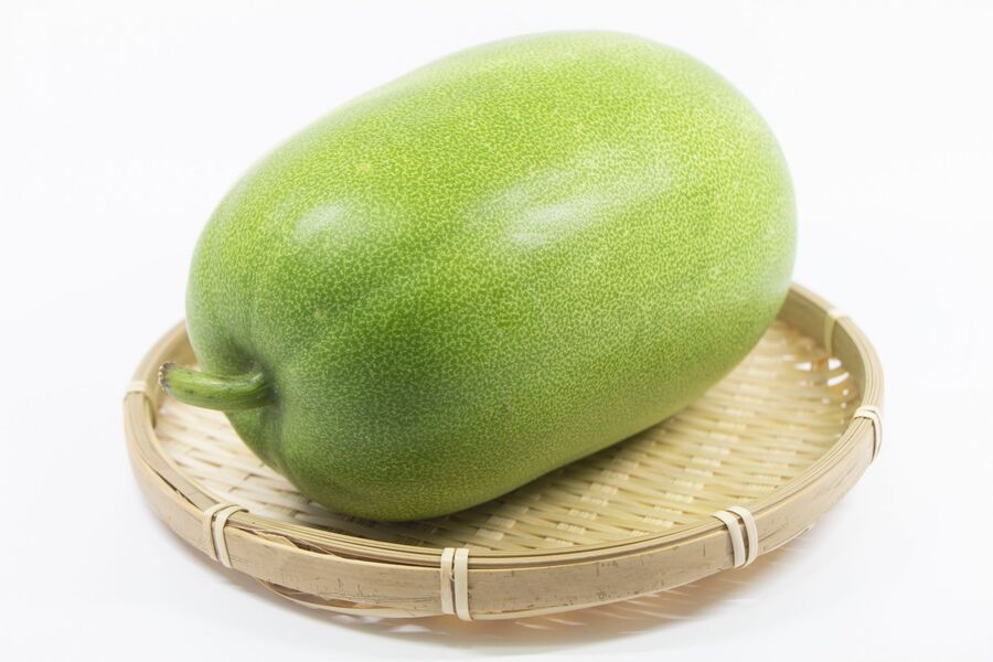 そろそろ姫冬瓜を収穫するよ😊園芸日記byアットみんなの趣味の園芸986928