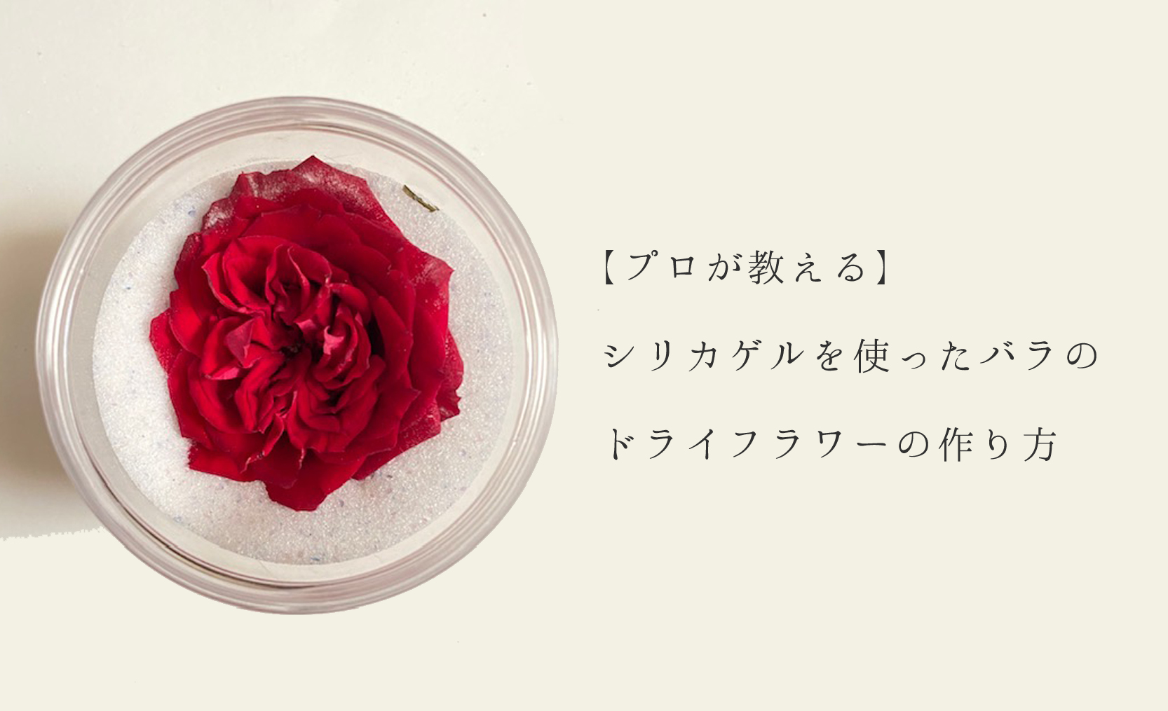 バラの、上手なドライフラワーの作り方と簡単アレンジGardenStoryガーデンストーリー