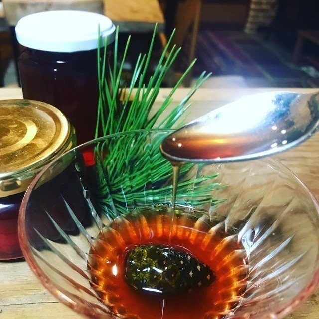 松の実MD NO SUSUME