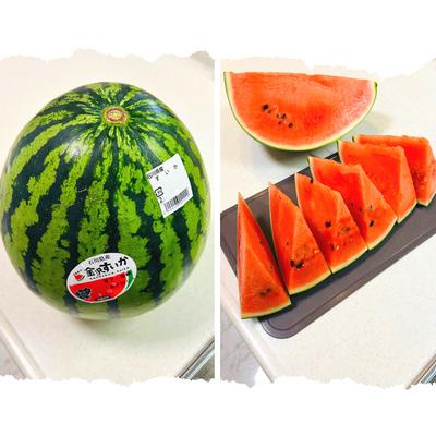 スイカの切り方 甘さ均等&種取り簡単な方法。サイコロやスティックもほほえみごはん-冷凍で食を豊かに-ニチレイフーズ