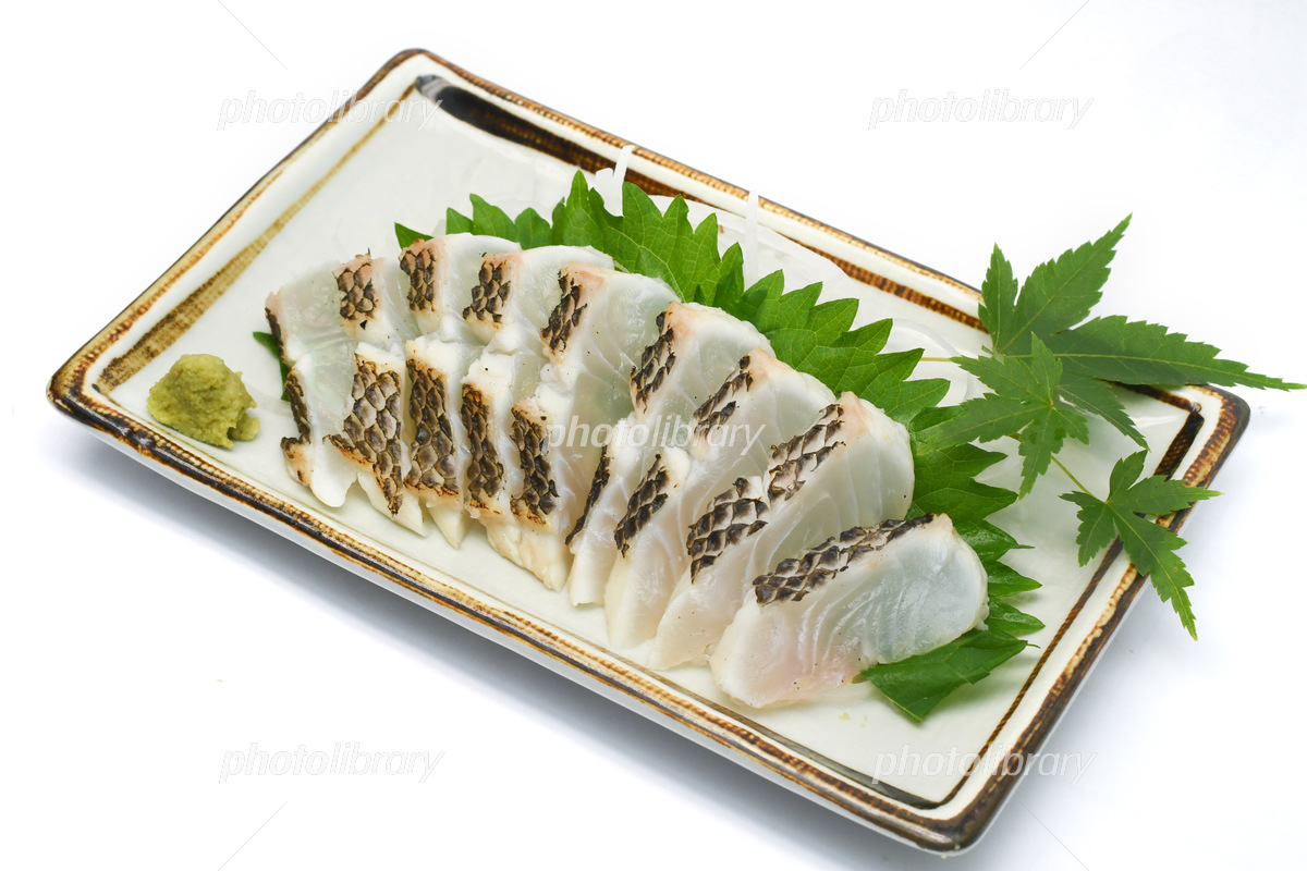 メイチダイ イチメダイのさばき方 三枚おろし：旬の魚介百科