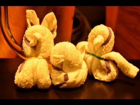 おしぼりひよこの写真素材写真素材なら「写真AC」無料 フリー ダウンロードOK