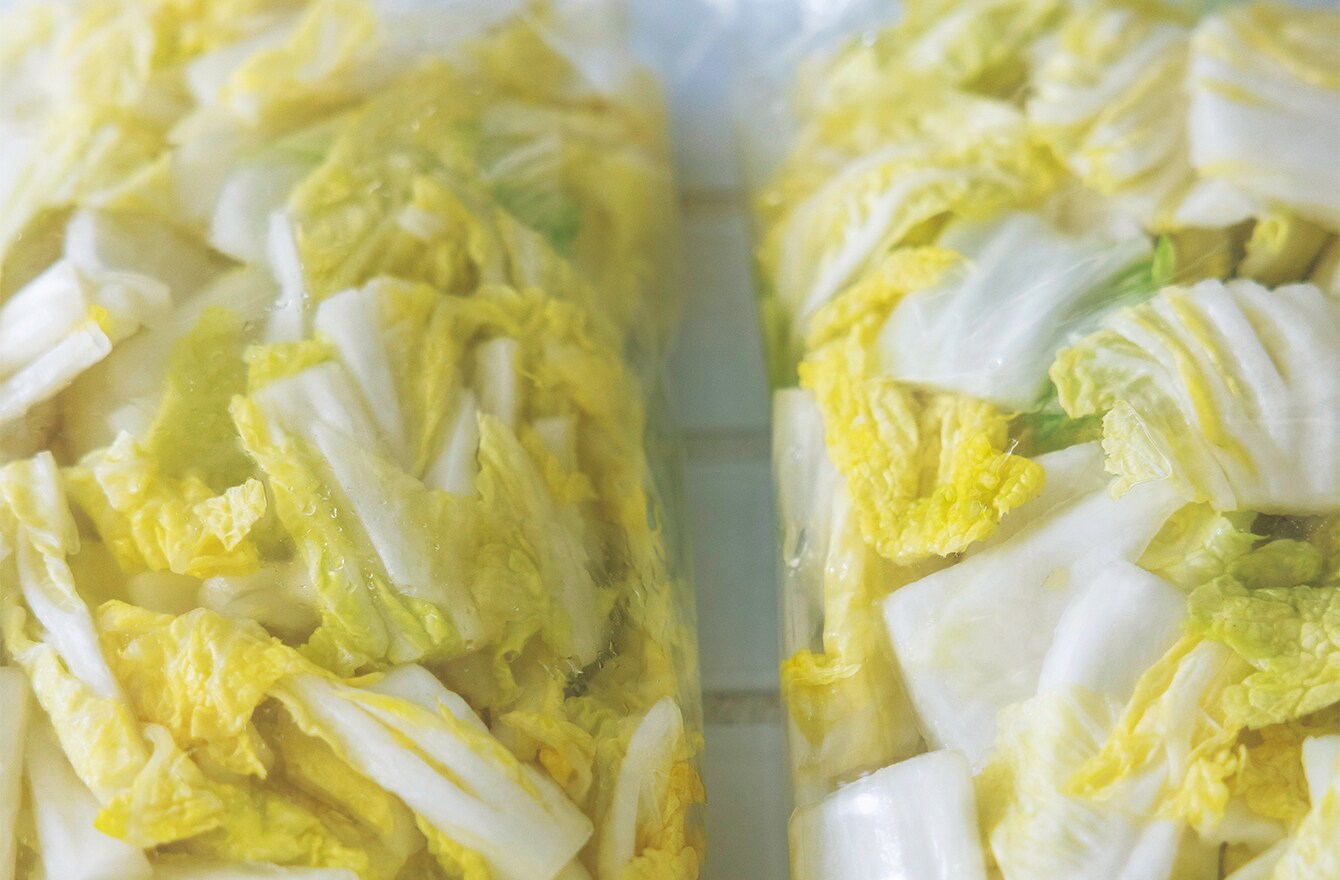 栗原はるみさん「豚肉と野菜の餃子」を作りましたLEE