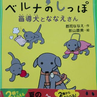 ◇◇絵本 『ケチャップマン』1冊◇◇の通販 by ひよこまめろん's shopラクマ