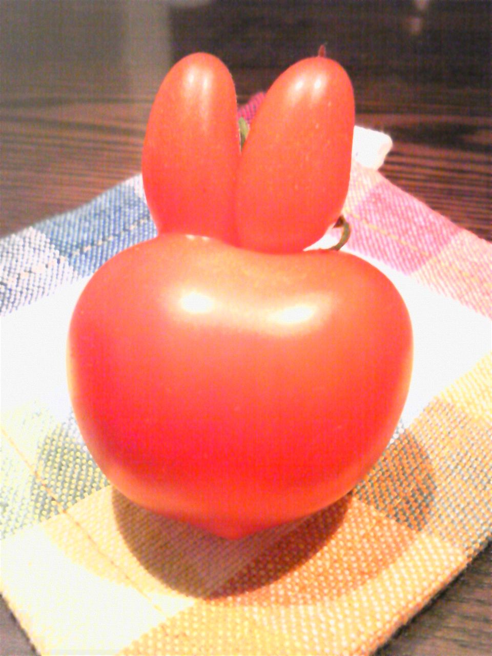 人面トマトメカラウロコ さんのイラスト - ニコニコ静画 イラスト